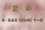 跃鲤记芦林