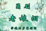 甬剧老娘泪 全剧
