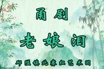 甬剧老娘泪 全剧