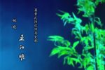 姚剧王阳明 全2集