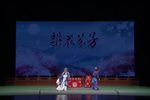 绍剧龙虎斗 别家 片段