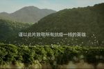 虞越寒冬 绍兴无恙 片段