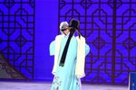婺剧牡丹亭 幽媾 片段