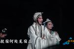 婺剧香莲传 片段