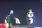 狸猫换太子 下