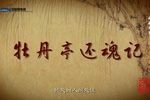 越剧牡丹亭还魂记 全集