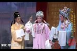 孟丽君 书房会
