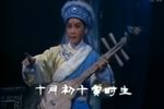 越剧沙漠王子