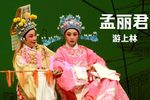 孟丽君 游上林 片段
