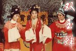 双玉蝉