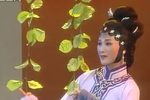 白兔记 全剧