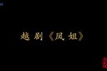 越剧凤姐 全剧