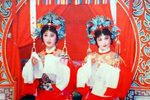 花为媒