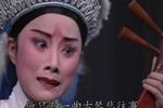 越剧沙漠王子 片段