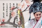 盘妻索妻