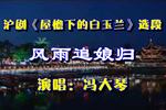 沪剧屋檐下的白玉兰 选段 片段