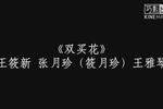 双买花 片段