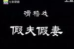 假夫假妻 上