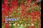 沪剧第二次握手 选段 片段