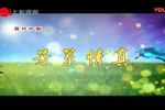 沪剧芳草情真