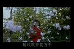 沪剧屋檐下的白玉兰