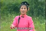 朱洪武斩婿