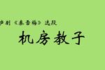 秦雪梅