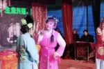 庐剧麻疯女 片段