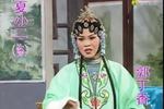 庐剧休丁香