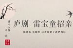 雷宝童招亲 片段