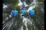 庐剧休丁香