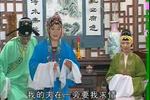 庐剧李月贵卖水