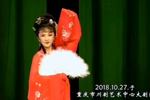 庐剧秦雪梅游园观画