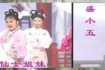 庐剧七仙女下凡 宽屏欣赏版 共两集 片段