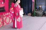 庐剧兄妹奇缘
