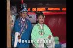 庐剧休丁香 2