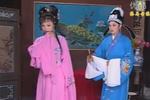 庐剧梁祝楼台会