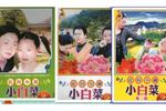 民间小调小白菜泪汪汪 全集