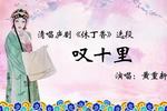 庐剧休丁香