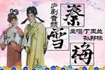 秦雪梅