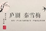 秦雪梅