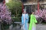 庐剧兄审妹案 二