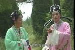 庐剧五女拜寿 3