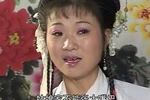 庐剧兄审妹案 一