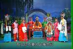 狸猫换太子