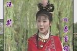 秦雪梅