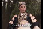 庐剧刘备招亲