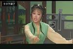 黄梅戏春草闯堂 片段