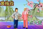 黄梅戏点大麦  片段