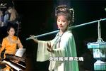 黄梅戏红楼梦 葬花 片段